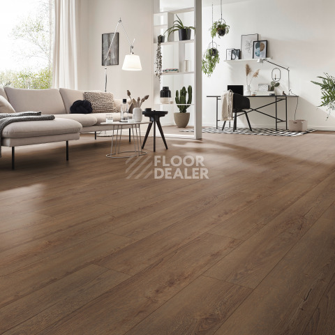 Kronotex Exquisit 8мм d41172 Дуб Горизонт кофе фото 2 | FLOORDEALER